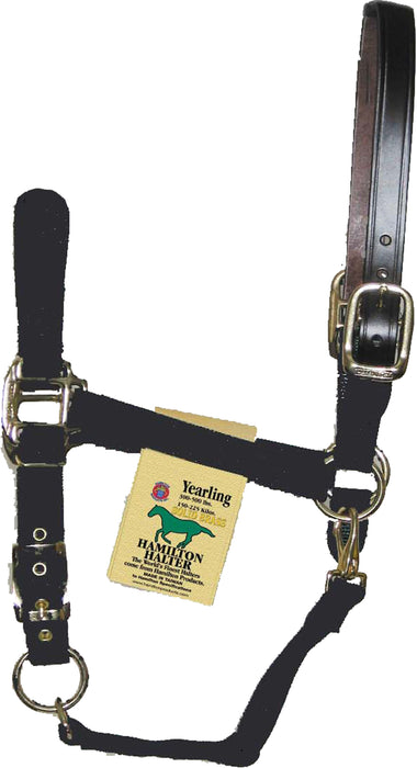 Hamilton Halter Company - Adjustable Horse Halter With Leather Headpole